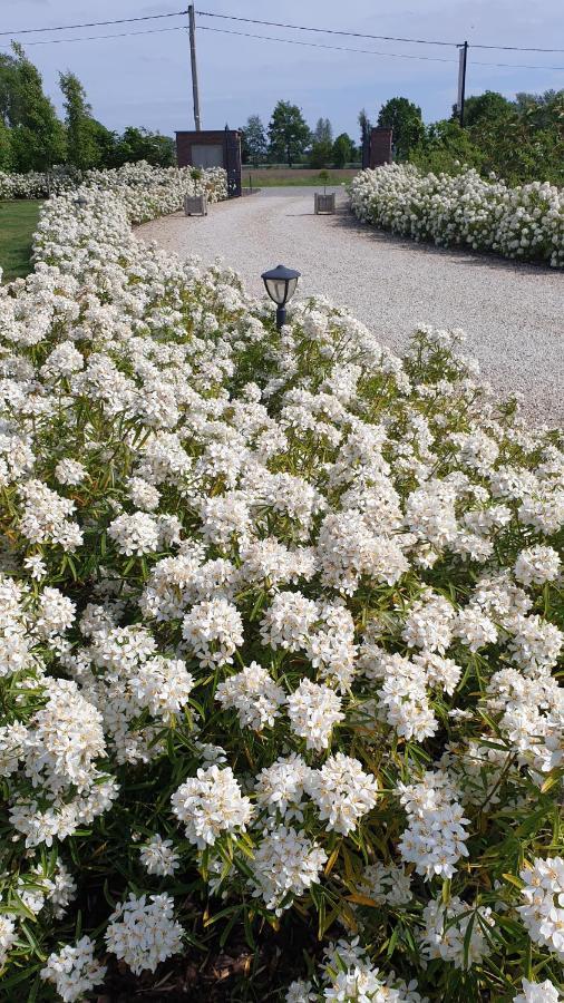 B&B 'T Meesterhof Deinze Kültér fotó