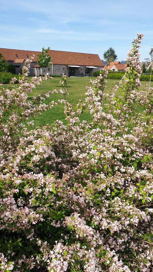 B&B 'T Meesterhof Deinze Kültér fotó