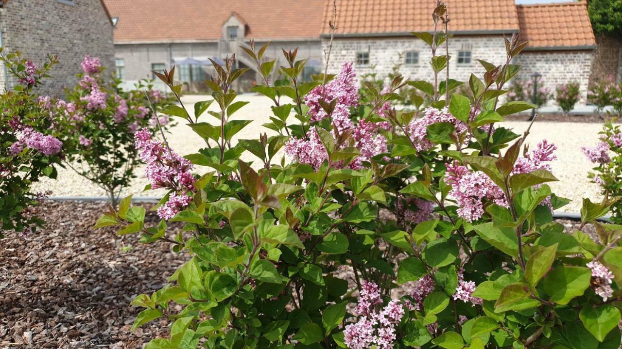 B&B 'T Meesterhof Deinze Kültér fotó